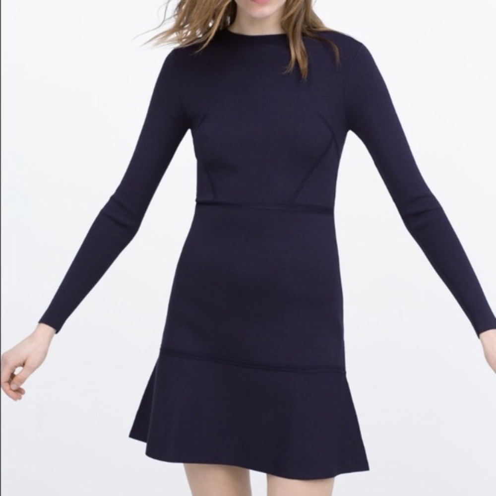 Zara Knit Long Sleeve Flare Dress Size Medium